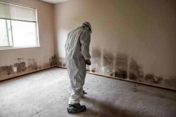 Cranford, NJ Mold Removal Company